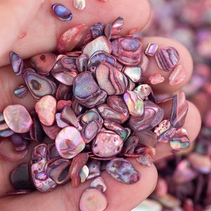 Nail Art Decorations 50MLJar Natural Sea Shell Slice Abalone Shell Fragments Texture 3D Charm Nail Art Decoration Rhinestones For Woman DIY 230905