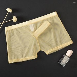 Underpants Elephant Trunk Men Sexy Transparent Mesh Fabric Boxers Pouch Shorts Underwear Underpant Boxer Sleep Bottoms