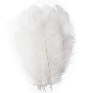 100st/Lot Party Decor Natural White Ostrich Feathers 20-25cm Färgglad fjäderdekoration Bröllopsfjäderdräkt Dekorativ firande grossist