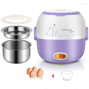 Electric Lunch Box Heat Preservation Multifunctional Double-layer Heating Rice Cooker Small Stainless Steel With