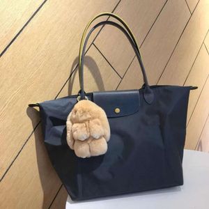 70th Anniversary Longchamm Tote bag Mini Bags Embroidery with Commuters Tote Bag Portable French Nylon Shoulder Dumpling Bun Handbags Large capacity shopping bags