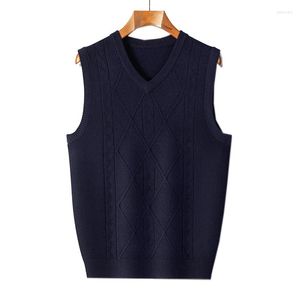 Gilet da uomo Maglioni senza maniche 13,8% Maglia di lana Canotta Maglione con scollo a V Basic Per l'autunno inverno 3D Argyle Business Casual A1805