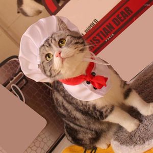 Dog Apparel 1 Set Pretty Pet Transformation Costume Funny Dress Up Mild To Skin Chef Style Hat