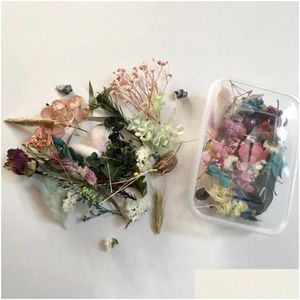 Decorative Flowers Wreaths Dried Flower 1Box Miticolor Preserved Random Color Mticolor For Scrapbooks Drop Delivery Home Garden Fe Dhrwh