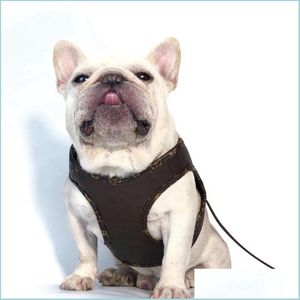 Hundhalsar Leases Designer Dog Harness Leases Set Pu Leather Step-In Harnesses Soft Air Mesh Justerbar husdjurväst för små medium OTVS6