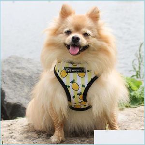 Hundhalsar Leases Dog Vest Harness Soft Luft Mesh Justerbara hundar sele och kopplar Sätt söt tryckt steg med nacke vadderad F OT1O9