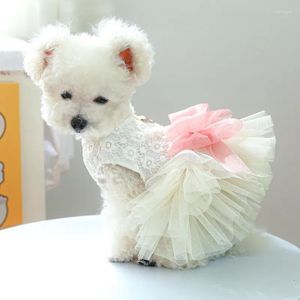 Abbigliamento per cani Abiti tutù Bianco Estate Gatto Animali domestici Abbigliamento Cucciolo Yorkies Pomerania Shih Tzu Barboncino maltese Schnauzer Gonna Vestiti Xs