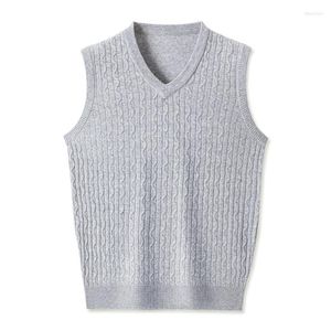 Men's Vests 5 Colors Business Casual Classic Knitted Vest 2023 Spring And Autumn Men Fashion V-Neck Sleeveless Sweater