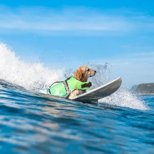 犬のアパレルリフレクティブライフジャケットスポーツセーフティレスキューベスト衣服調整可能ベスト子犬のフロート水泳スーツすべてのペット犬230906