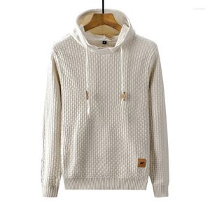 Men's Sweaters 2023 Autumn Winter Wool Sweater Hooded Men Cashmere Mens Fashion Pullovers Knitwear Pull Homme