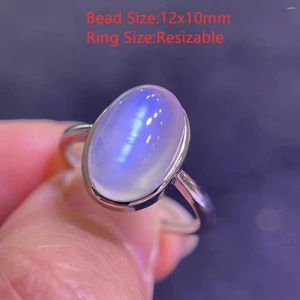 Anéis de cluster Natural Blue Light Moonstone Anel Ajustável Cristal 12x10mm Oval 925 Sterling Silver Mulher Rodada Pedra