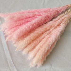 Dekorativa blommor 15st Pampas Grass Decor Fluffy Small Reeds Dried Valentine Gift Country Wedding Party Supplies Artificial Plant