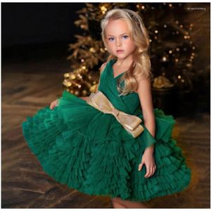Платья для девочек, зеленое платье принцессы с цветочным узором без рукавов, детское платье для дня рождения, свадебное детское короткое платье для первого причастия, индивидуальный подарок