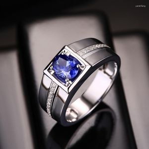 Cluster Rings Temperament Men's Open Ring Inlaid With Zircon Sapphire