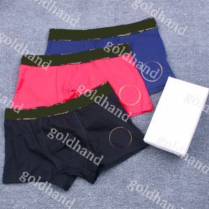 Pantaloncini boxer da uomo nuovi di moda Lettera di marca stampata mutande sexy Biancheria intima da uomo traspirante in puro cotone