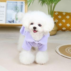 犬のアパレルペット服秋の冬のプリンセスドレススモールコートファッションエレガントな子犬ハーネスガールかわいいスカートプードルヨーキー