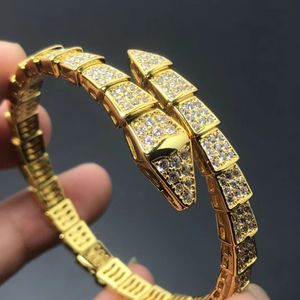 Moda Tasarımcı Bileklik Tasarımcı Takı Kadın Gül Altın Platin Yılan Bilezik Altın Bileklik Lüks Takı Erkekler İçin Bilezik Bangles Kadınlar İçin Hediyeler Çiftler için