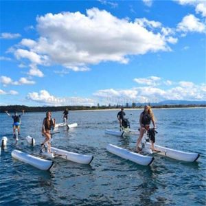 Heavy-duty PVC pontoon Waterbike inflatable water bicycle tube floating pedal boat tubes on Without bike pump309R