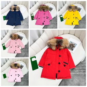 Crianças casaco bebê designer roupas para baixo casacos jaqueta criança vestir com crachá com capuz grosso quente outwear menina menino clássico parkas gola de pele de lobo jaqueta de inverno estilo rosa azul