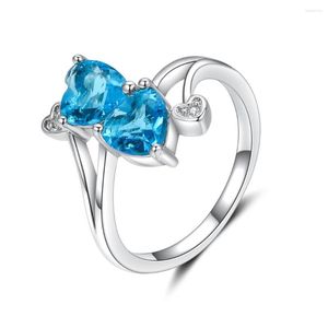 Pierścienie klastra Hainon Sky Blue Obiecing Srebrny kolor ślub dla kobiet dystrybucja biżuterii serca