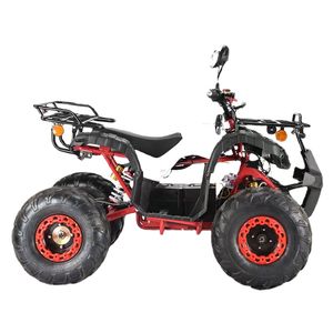 New Powerful 2000w 60v Electric Atv 4 Wheel Quad Bike Adult Atv With Lithium Battery For Sale