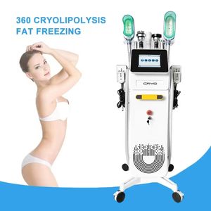 Multifunzione 360 cryo fat freeze scolpitura del corpo criolipolisi modellante linea di gilet linea di sirena macchina per il corpo doppio mento