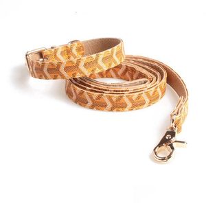 Hundkrage Leases Classical Set Pet Collar and Pets Chain för små medelstora hundar Cat Chihuahua Poodle Bldog Corgi Pug PS1974 DR DHTJV