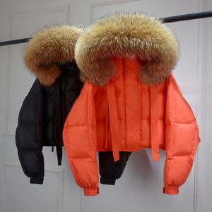 여자 재킷 Janveny Big Natural Raccoon 모피 후드 겨울 럭셔리 다운 재킷 여자 짧은 푹신한 복어 코트 암컷 오리 빵 파카 230908