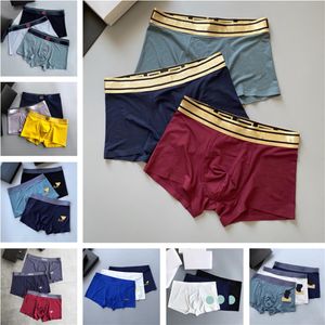 Boxer da uomo Mutande Designer Stampa Slip da uomo Biancheria intima sexy traspirante Pantaloncini Boxer da uomo di alta qualità 3 pezzi Lotto con scatola 2XL 3XL338Z