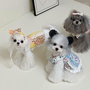 Vestuário para cães roupas verão primavera vestido gato filhote de cachorro vestidos yorkshire pomeranian shih tzu maltese poodle bichon pet roupas saia