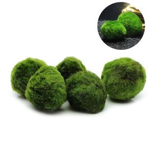 5 peças Marimo Musgo Bola Plantas de Aquário Terrário Cladophora Ornamentos para Tanque de Peixes249A