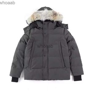 Parkas masculinos de alta qualidade jaqueta gansos casaco real grande pele de lobo canadense wyndham sobretudo estilo roupas de inverno parka hkd230911