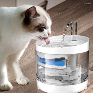 Cat Bowls Automatisk vattenfontän Transparent Cirkulerande filtrering Dricker Förhindra torr Burn Pet Dispenser