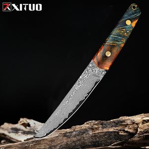 Damascus Steel Kitchen Utility Knife 5 Inch Full Tang Blade Super Sharp Japanese VG10 Knife Ergonomic Stabilized Wood Handle