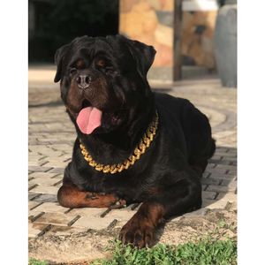 Pies Cuban Link Chain Obroźnia psa gruby naszyjnik 925 Silver/złot