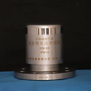 304 Stainless steel exhaust valve composite negative pressure suppressor