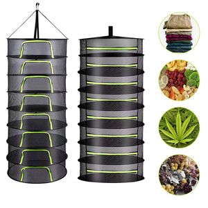 Other Home Storage Organization 2 Layers Drying Rack Net Hanging Sun Dry for Food Dehydrator Durable Folding Vegetable Herbs Fishes Dryer 230912