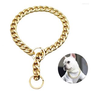 Hundehalsbänder, Halsband, Goldkette, luxuriöse Halskette für kleine und mittelgroße Haustiere, solide Materialfarbe, bequem