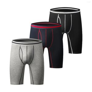 Underpants Sport Men Boxers Cotton Breathable Panties Man Underwear Boxershorts Plus Size 3XL Fitness Cuecas Boxer Masculina