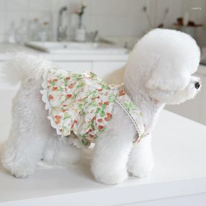 Hundkläder XS Summer Pet Clothes Chihuahua Cat Small Dress Yorkshire Terrier Pomeranian Maltese Shih Tzu Poodle Puppy Clothing 2023