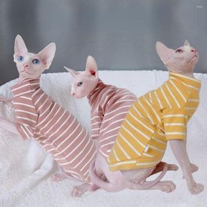 Kattdräkter kläder för Sphynx Autumn Sphinx randig bottenskjorta kattunge tröja andas husdjurskläder dräkt