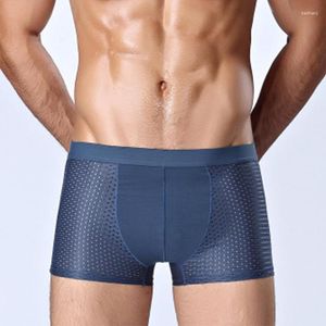 Mutande Mutandine da uomo Intimo Boxer Pantaloncini maschili Slip Uomo Custodia sexy Bauletto classico Estate Taglia grande 4xl 5xl