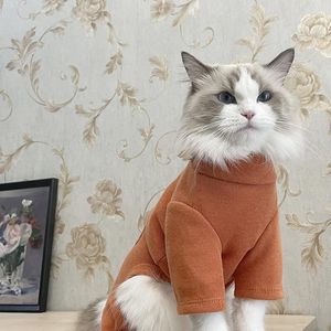 Kostium kotów trójwymiarowy niedźwiedź jesień i zima czteroosobowa kurtka z zagęszczoną długą pieprzeniem piepki krótkiej