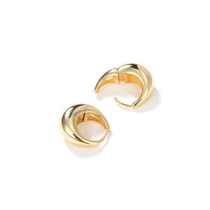 designer jewelry golden silver earrings for women fashion jewelry Luxury Stud Valentine's Mother's Day Wedding Jewelry Gift never lose style