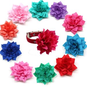 Köpek kıyafetleri 50100pcs köpekler için moda çiçek yakası çıkarılabilir bowties aksesuarları küçük kedi malzemeleri 230914