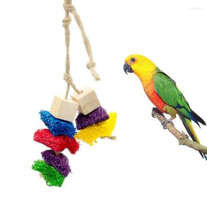 Other Bird Supplies Parrot Chewing Toy Wooden Natural Colorful Block Parakeet Playing Hanging Loofah Rope For Birds