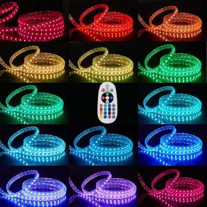 Striscia LED 220V 110V 150ft SMD2835 5050 120leds/m 60led/m Luce a corda flessibile IP65 Bianco caldo RGB Decorazione al neon Interni Esterni 12 LL