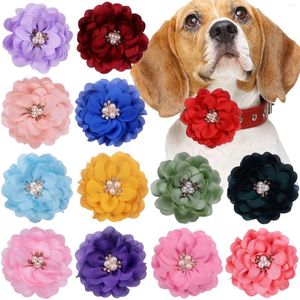 犬のアパレル100pcsビッグフラワーカラーフラワーカラーbowtieアクセサリーを削除犬ペット蝶ネクタイ