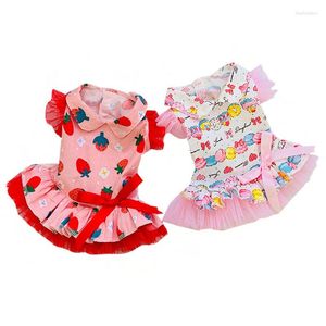 Hundkläder husdjur jordgubbsklänning tårta kattkläder nallebjörn sommarkläder prinsessa kjol dagligen bär klänningar kostym