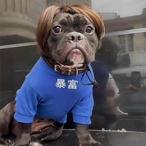 Costumi per gatti e parrucche cosplay per cani Simpatico e divertente decorazione per animali domestici Parte centrale Rosso Marrone EtcHair Accessori per capelli in costume per feste di Halloween